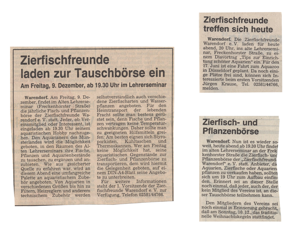 Zeitungsartikel über eine Börse und einen Vortrag im Jahr 1988