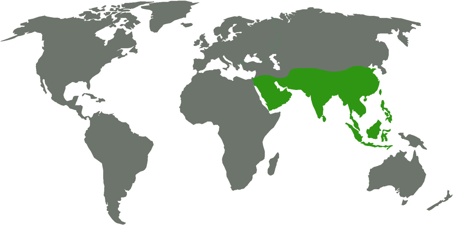 Weltkarte Asien