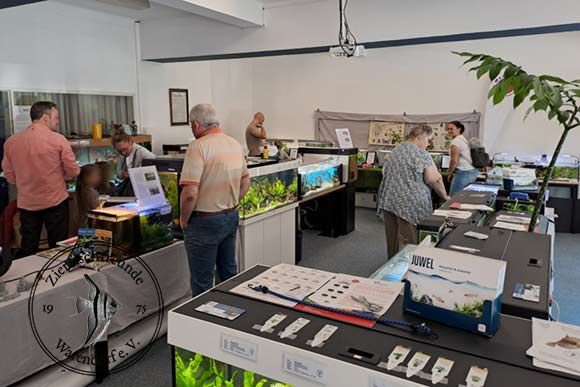 Blick in die Ausstellung des Aquarienvereins
