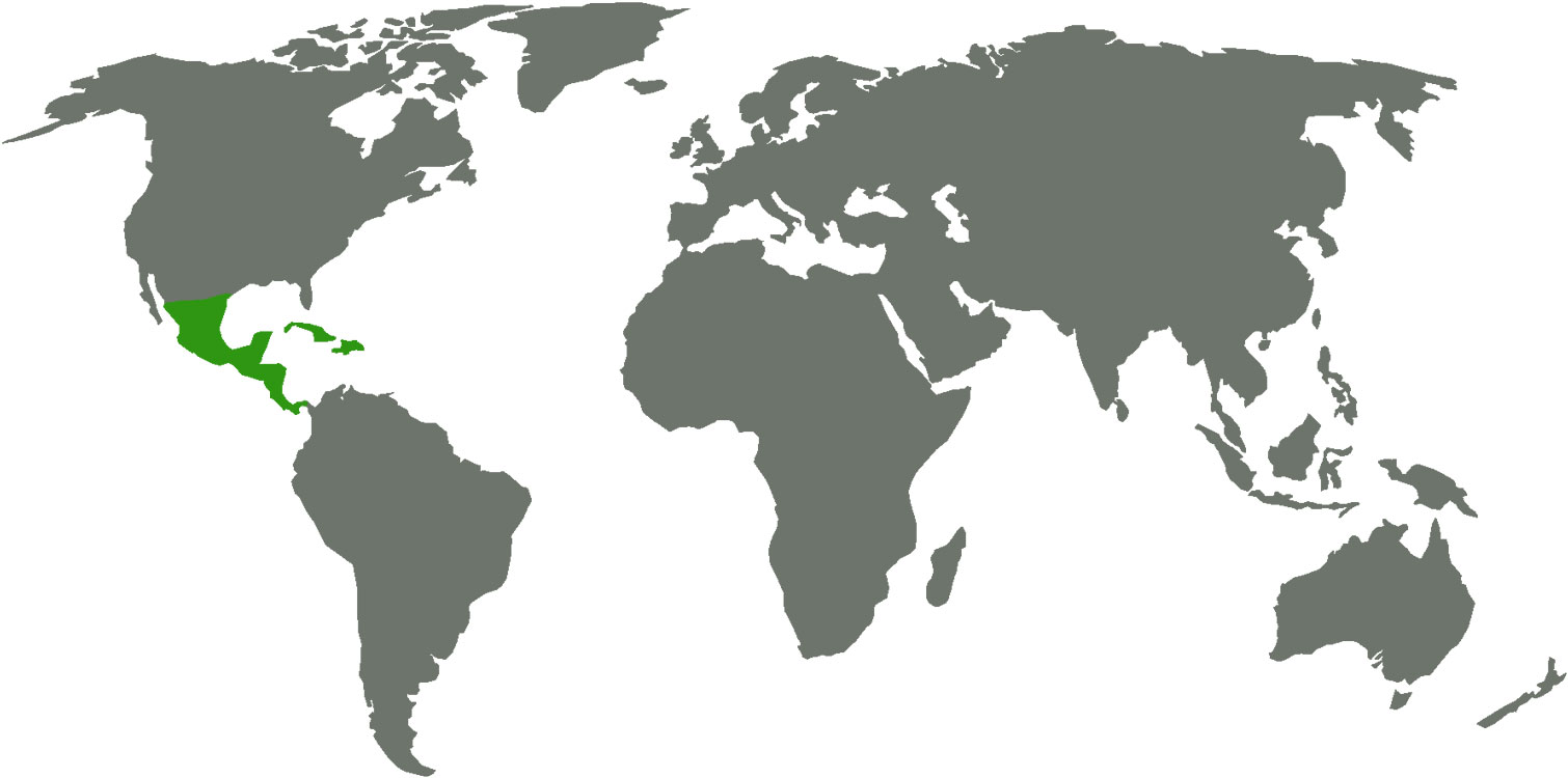 Weltkarte Mittelamerika